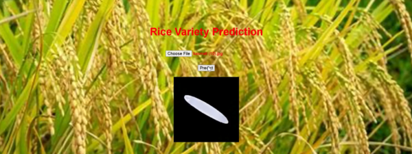 Detection of Rice Variety using AI