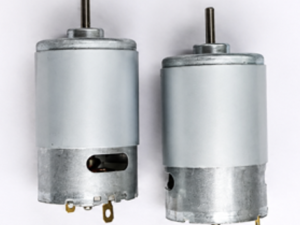 DC MOTOR RS-555 12 V (Pack of 2)